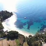 In Near Sea