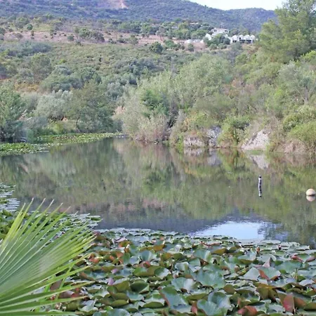 Amazing In Les Mimosas With Pool